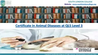 Certificate in QLS Level 3 Animal Diseases by SLC