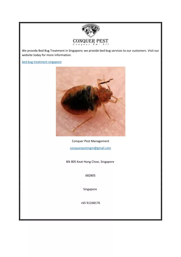 we provide bed bug treatment in singapore