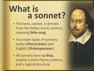 what is a sonnet