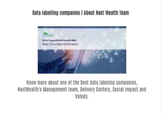 Data labelling companies | About Next Wealth Team