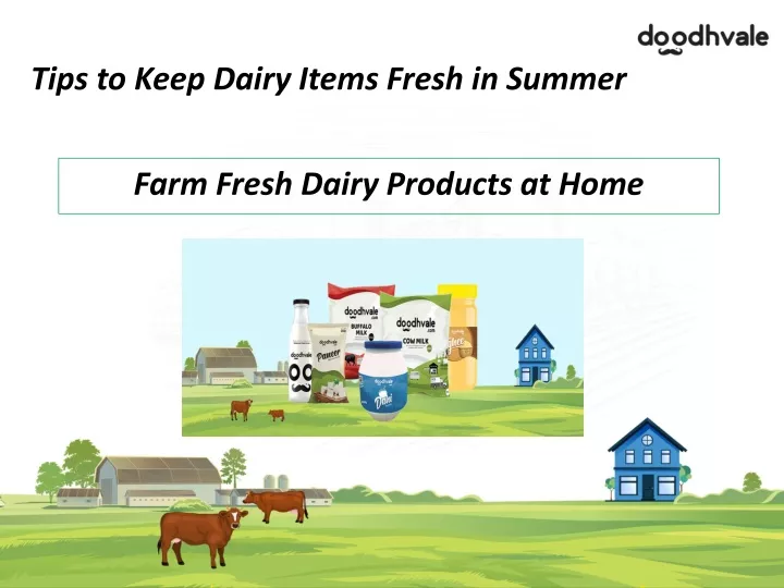 tips to keep dairy items fresh in summer