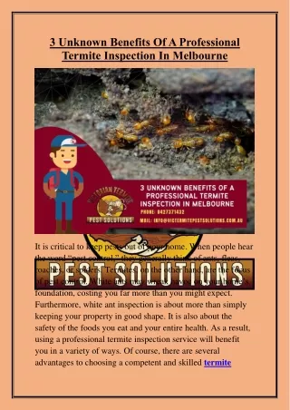 3 Unknown Benefits Of A Professional Termite Inspection In Melbourne