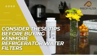 Consider These Tips Before Buying Kenmore Refrigerator Water Filters