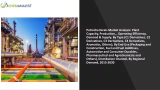 Petrochemicals Market Size, Share, Industry Analysis Report, 2030