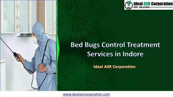 bed bugs control treatment services in indore