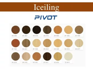 iceiling