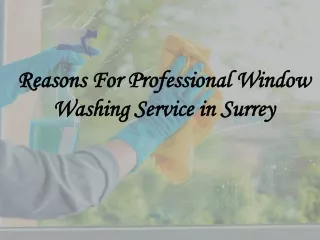 Reasons For Professional Window Washing Service in Surrey