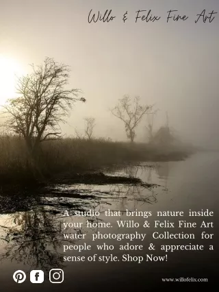 Explore Willo & Felix Fine Art Water Photography Collection