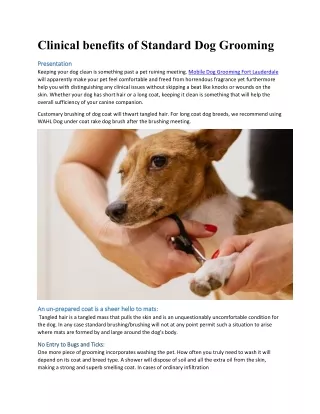 Medical advantages of Standard Dog Grooming