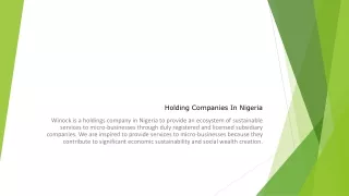 Holding Companies In Nigeria PPT