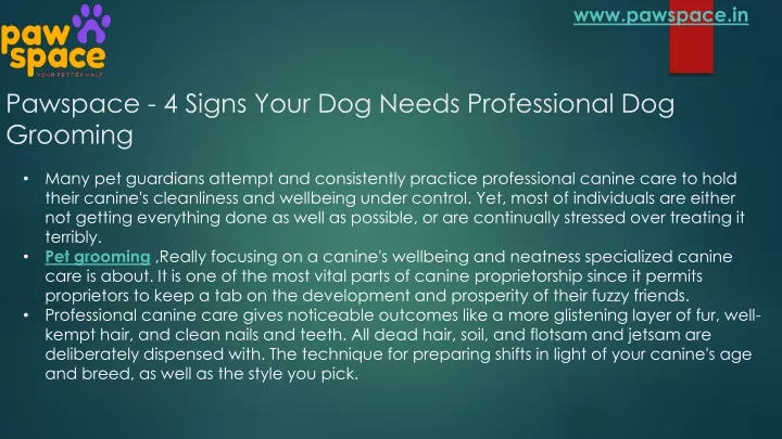 pawspace 4 signs your dog needs professional dog grooming