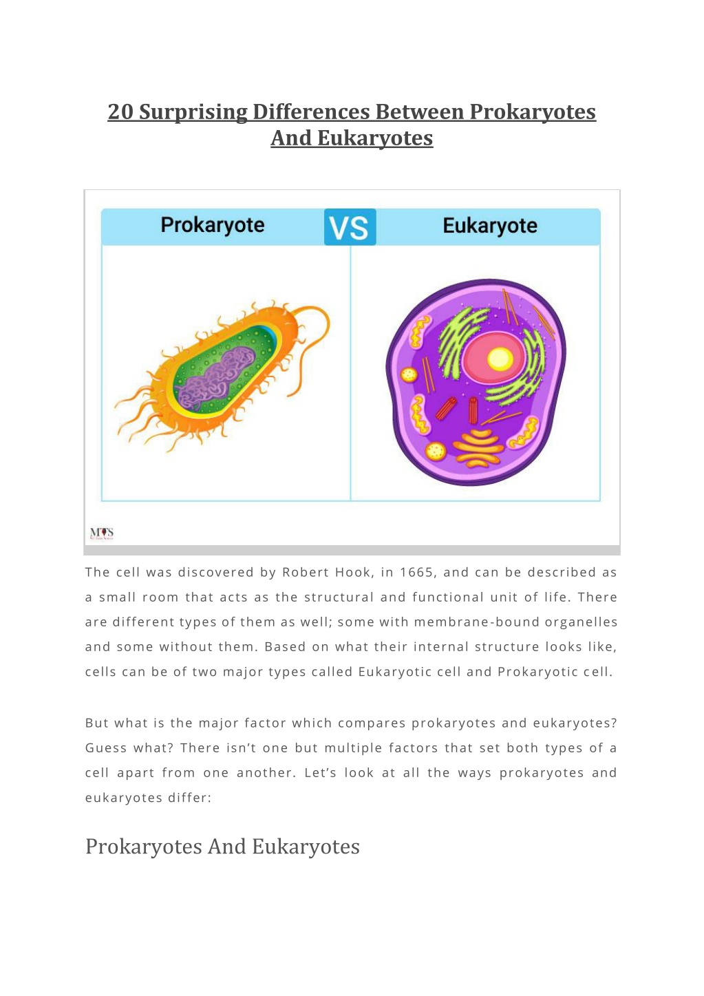 PPT - 20 Surprising Differences Between Prokaryotes And Eukaryotes ...