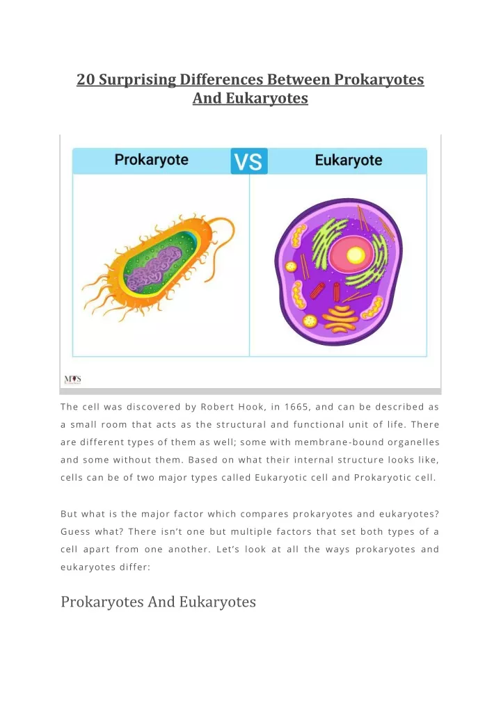 20 surprising differences between prokaryotes