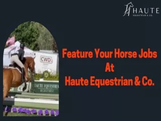 Feature Your Horse Jobs At Haute Equestrian & Co.