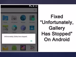 How To Fix “Unfortunately, Gallery Has Stopped” On Android
