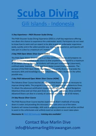 scuba diving gili islands indonesia