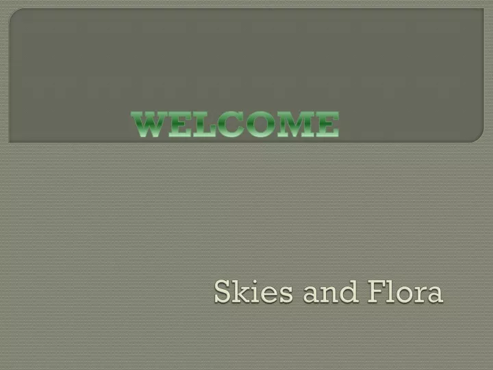 skies and flora