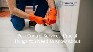 Pest Control Services Crucial Things You Need To Know About