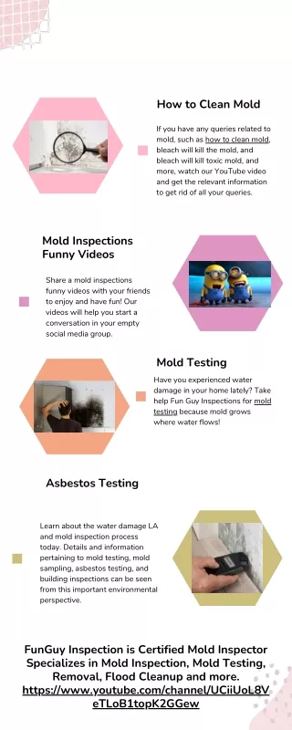 how to clean mold