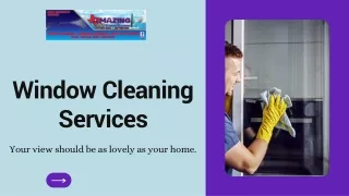 window cleaning services