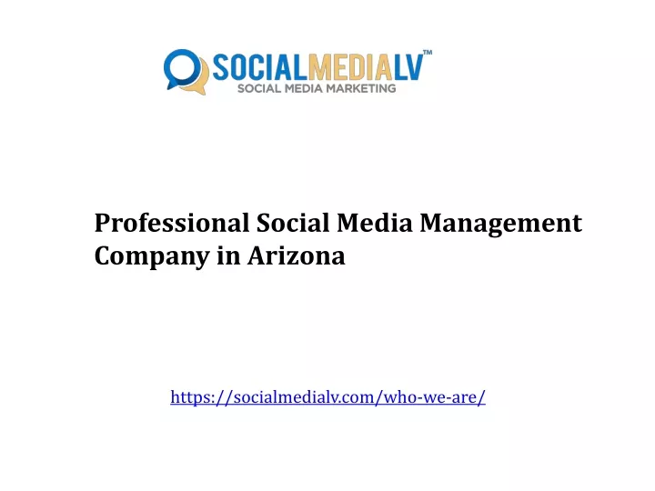 professional social media management company