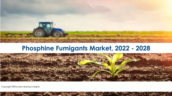phosphine fumigants market 2022 2028