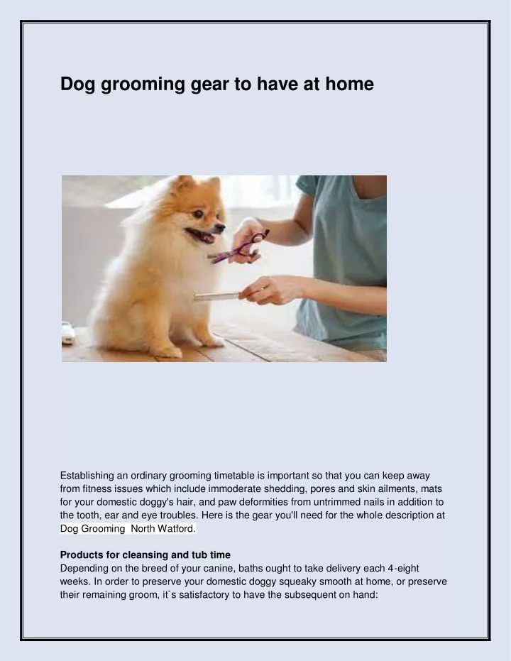 dog grooming gear to have at home