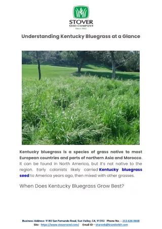 Understanding Kentucky Bluegrass at a Glance