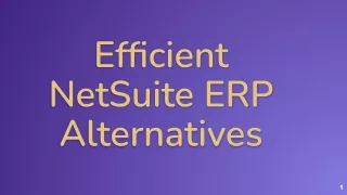 efficient netsuite erp alternatives