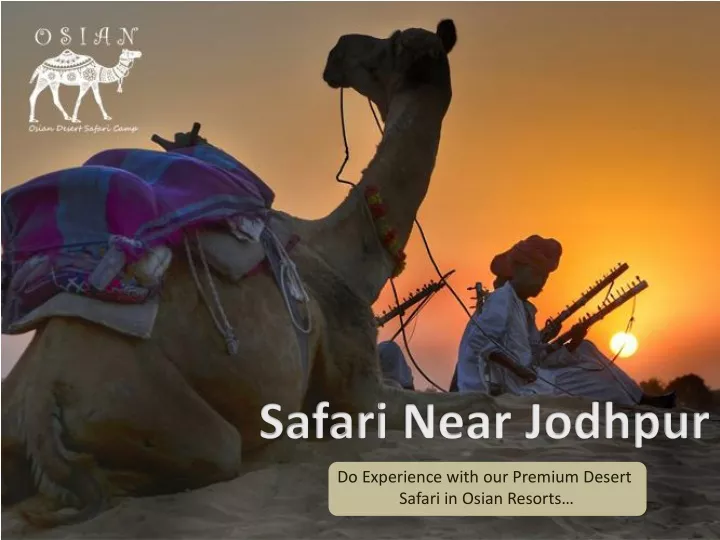 safari n ear jodhpur