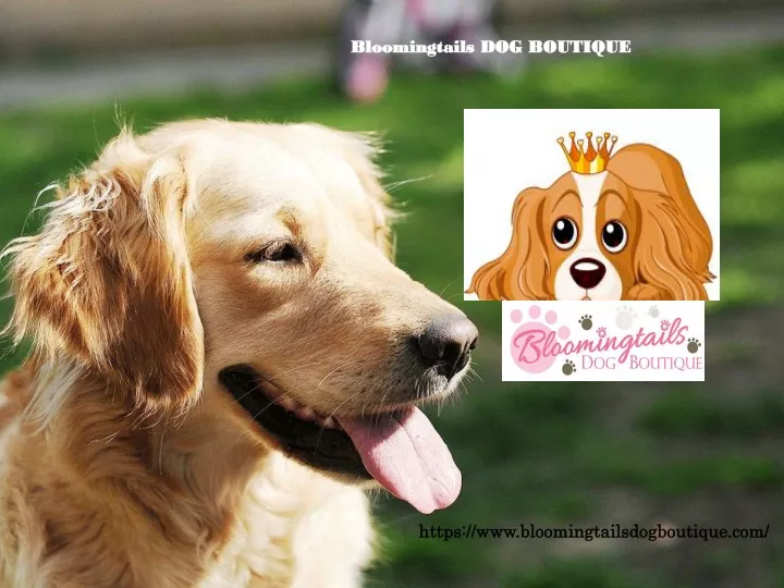 bloomingtails dog boutique