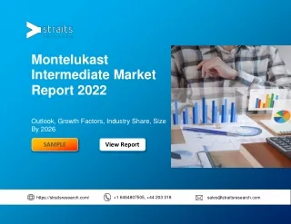 montelukast intermediate market report