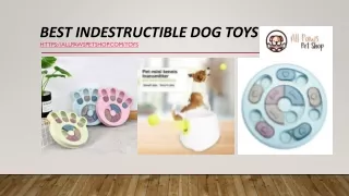 Best Indestructible Dog Toys