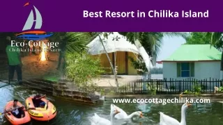 best resort in chilika island