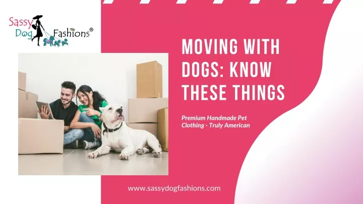 moving with dogs know these things