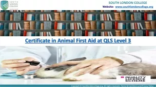 Animal First Aid Courses with Certificate, UK - 2022 update