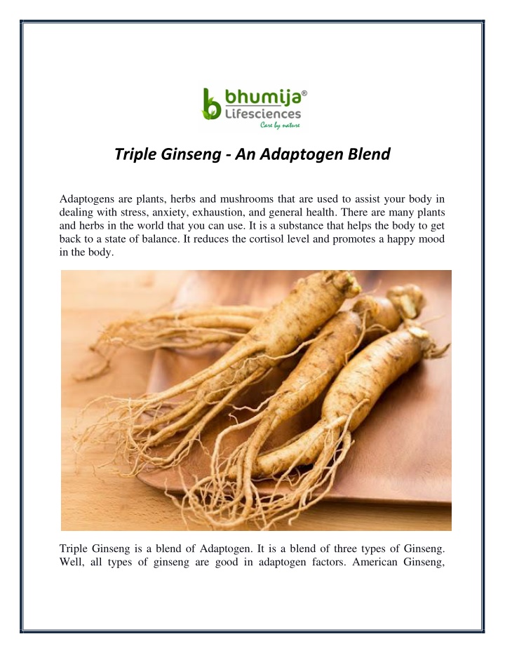 triple ginseng an adaptogen blend