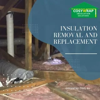 Insulation Removal and Replacement Adelaide | Cosywrap