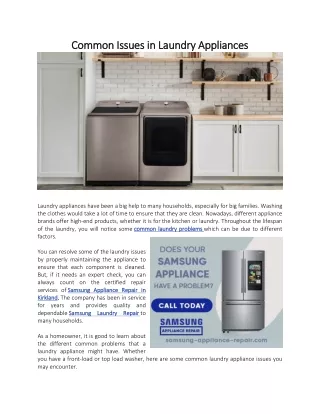 Common Issues in Laundry Appliances