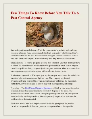 few things to know before you talk to a pest