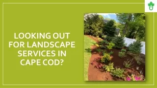 looking out for landscape services in cape cod