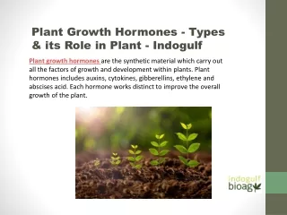 Plant Growth Hormones - Types & its Role in Plant - Indogulf