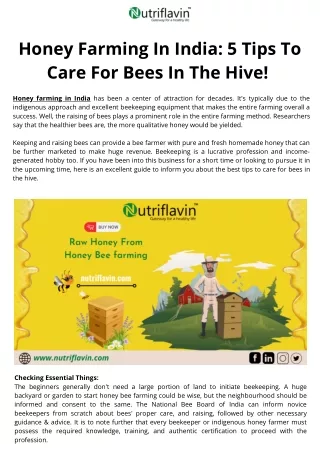 Honey Farming In India 5 Tips To Care For Bees In The Hive!