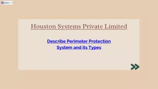Describe Perimeter Protection System and its Types