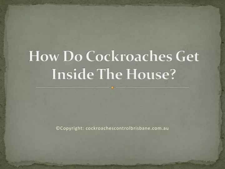 how do cockroaches get inside the house