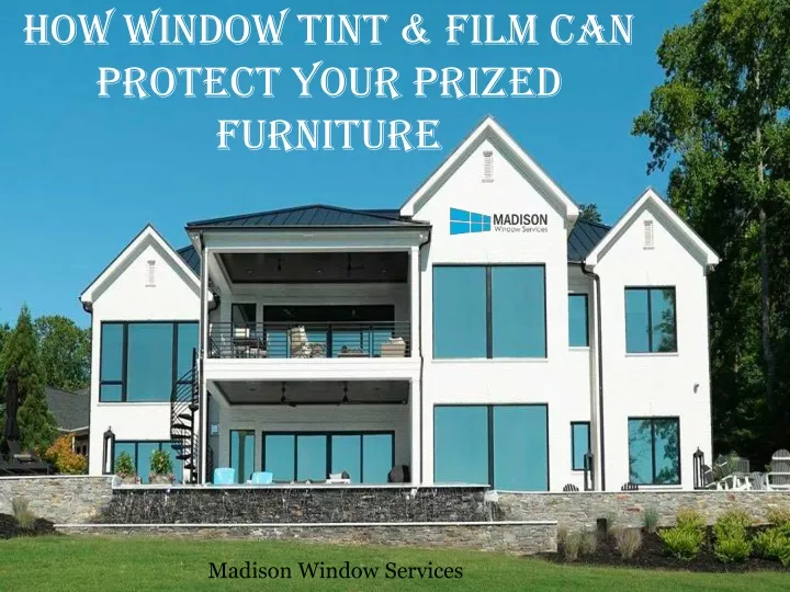 how window tint film can protect your prized