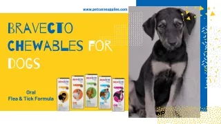 Buy Bravecto for Dogs Online | Lowest Price & Free Shipping