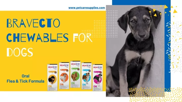 bravecto chewables for dogs