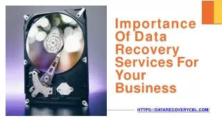 Importance Of Data Recovery Services For Your Business