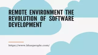 Remote Environment the Revolution of Software Development